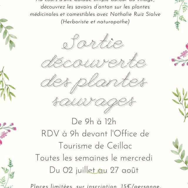 Sortie découverte des plantes sauvages