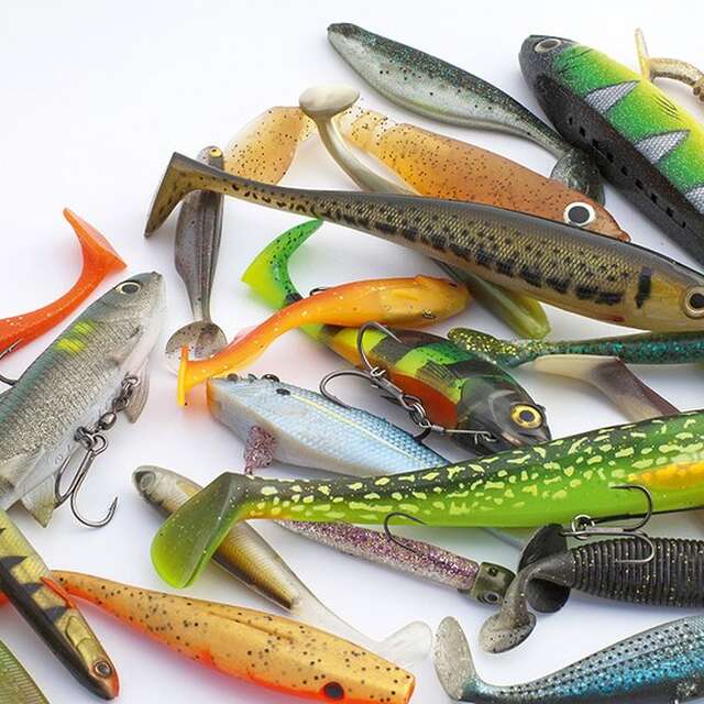 Semaine gourmande : pêche aux leurres en lac