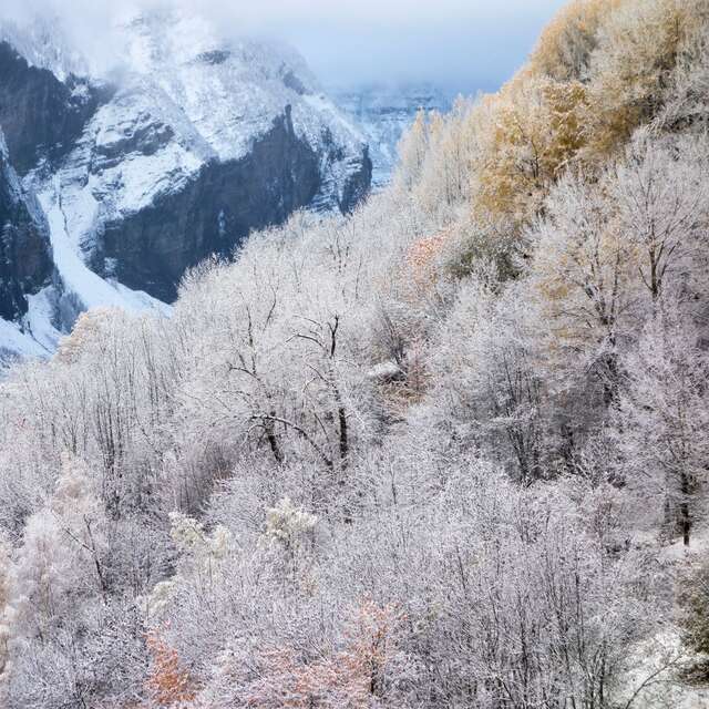 12 - La Roche Druidique de Crouzilhac