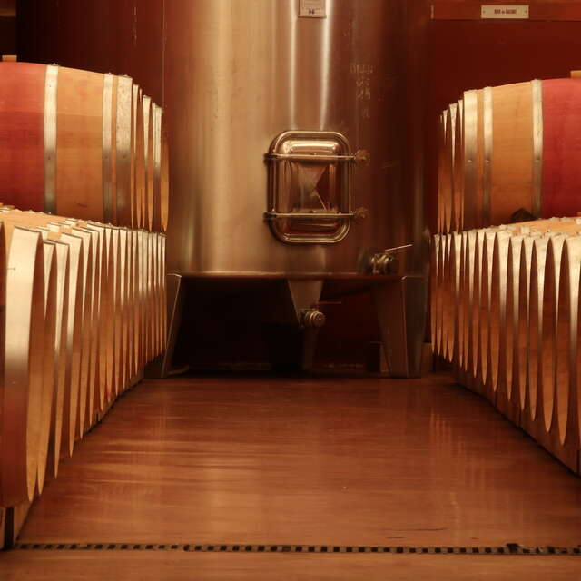 La cave des Vignerons du Brulhois