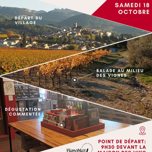Balade immersive dans les vignes de Sablet par la Maison des vins et du tourisme