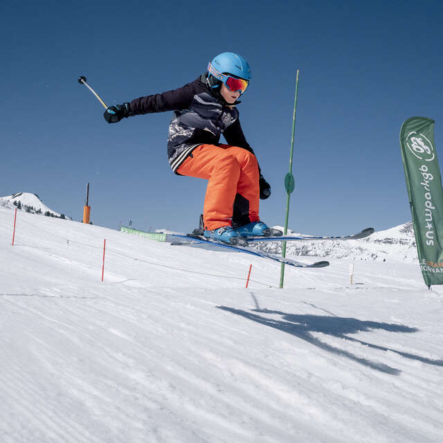 La super roue du Mom'Park