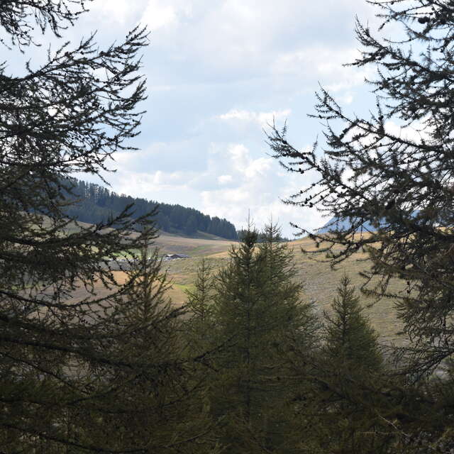 Rencontre avec les artisans sur les chemins des Mélézins aux alentours de Roubion