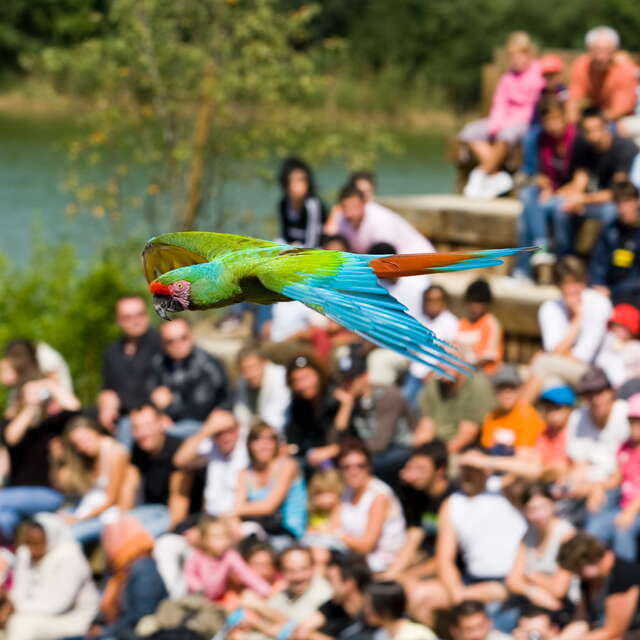 Parc des Oiseaux