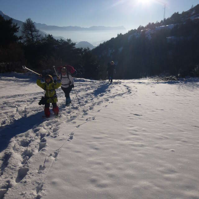 "A fleur de neige" Balades douces en raquettes / Avec Nature ma Compagne