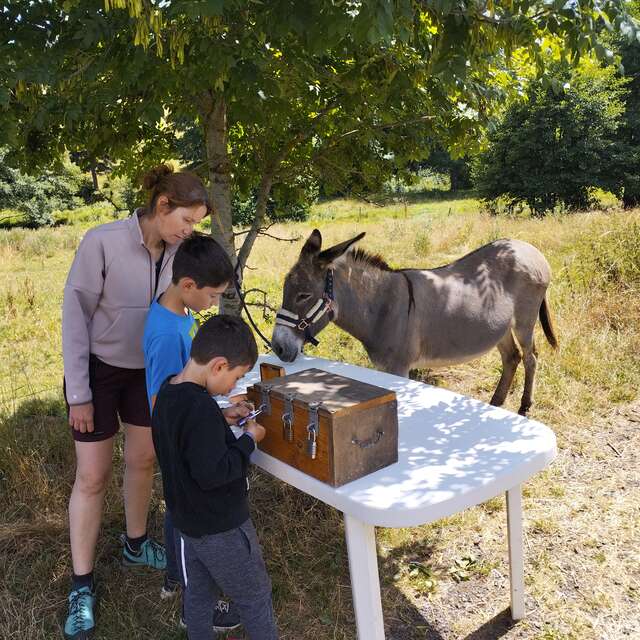 Chasse au trésor avec un âne