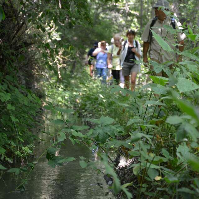 Sur les canaux briançonnais avec Nicolas Izquierdo
