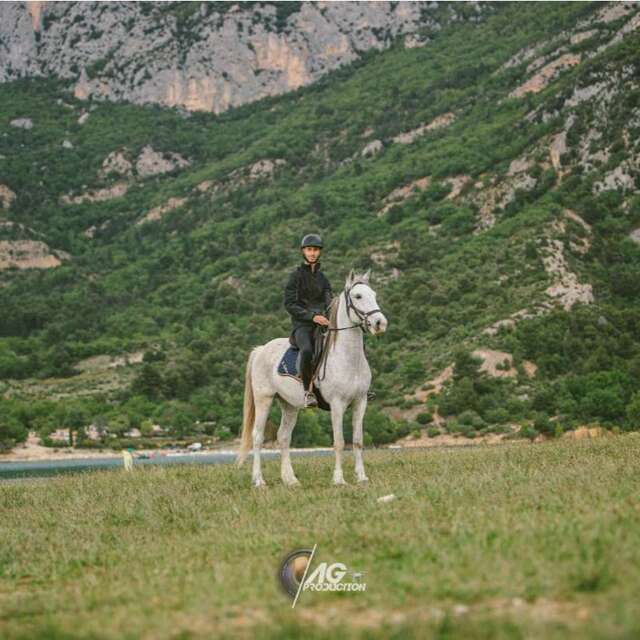 Sorties à cheval et à poney avec Verdon Equitation
