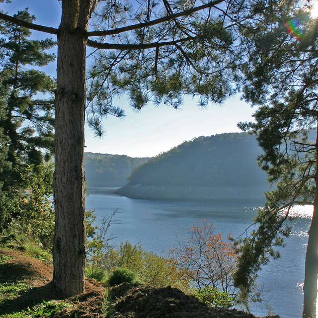 Lac du Barrage Saint Etienne Cantalès - Pêche