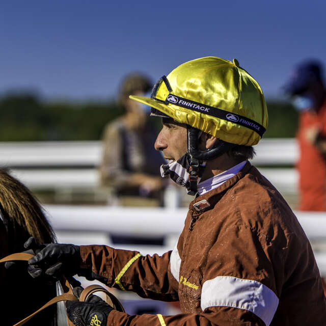 Courses à l'hippodrome