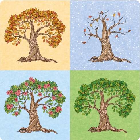 Les saisons, energie des cycles naturels : Intersaison