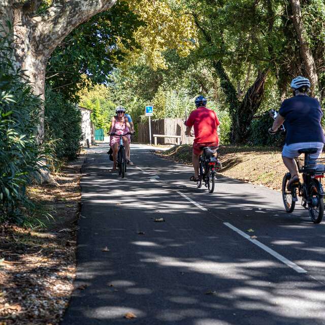 Piste cyclable Grimaud > Saint-Tropez