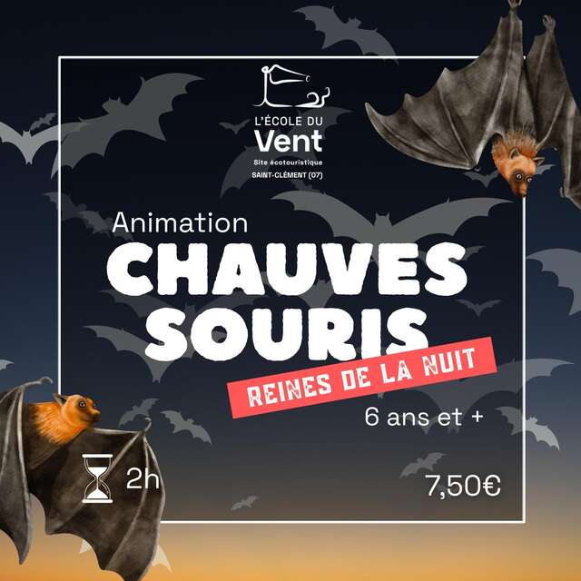 Chauve-souris, reines de la nuit