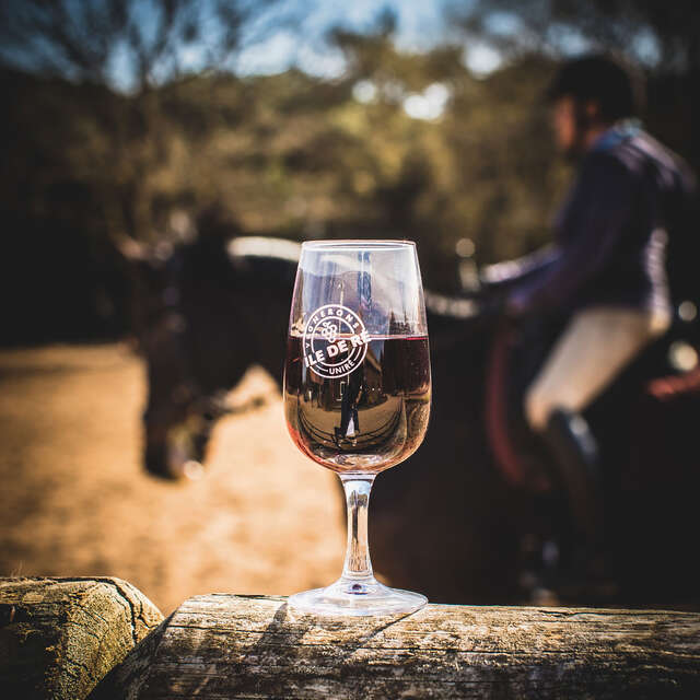 Degustación de vinos en las caballerizas del Moulin Moreau