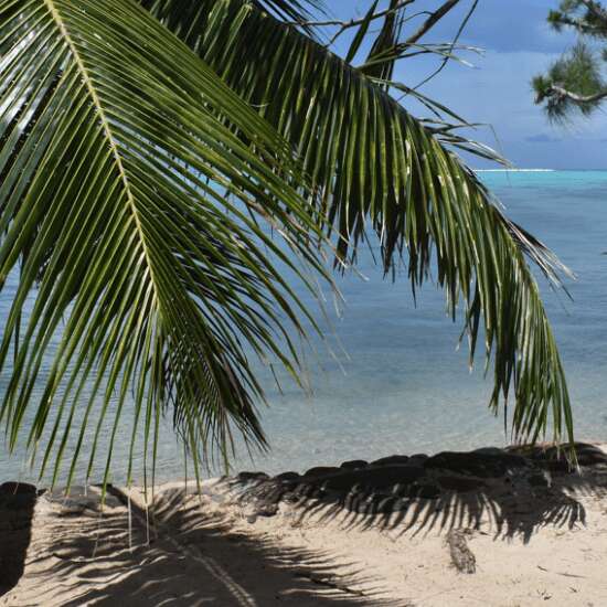 Fare Aute Beach