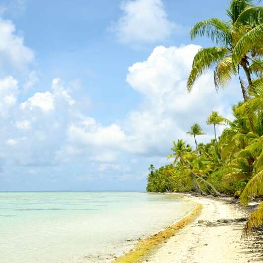 Herevai Charter - Tetiaroa