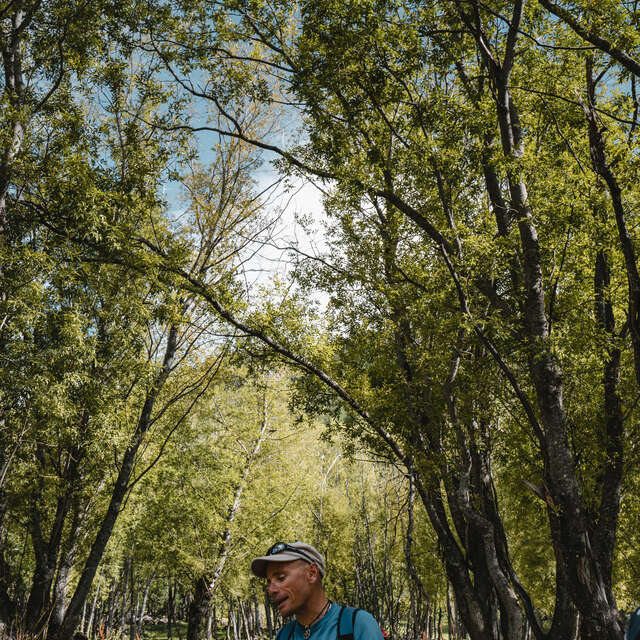 Lo straordinario mondo degli alberi
