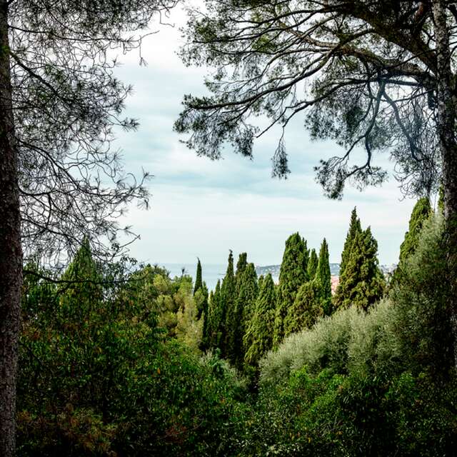 Associazione per la Salvaguardia dei Giardini Eccezionali