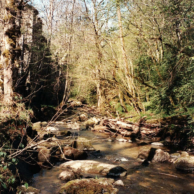 Atelier en famille " Meunier tu dors? "