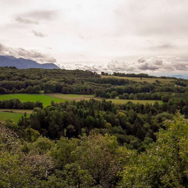 Hiking in Bugey: Bois du Geay