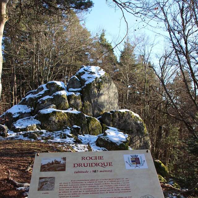 PR040 La Roche druidique de Crouzilhac