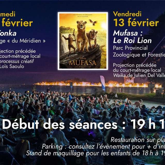 星空のスクリーン – ムファサ：ライオンキング（森の公園） (Hoshizora no Sukurīn – Mufasa: Raion Kingu (Mori no Kōen))