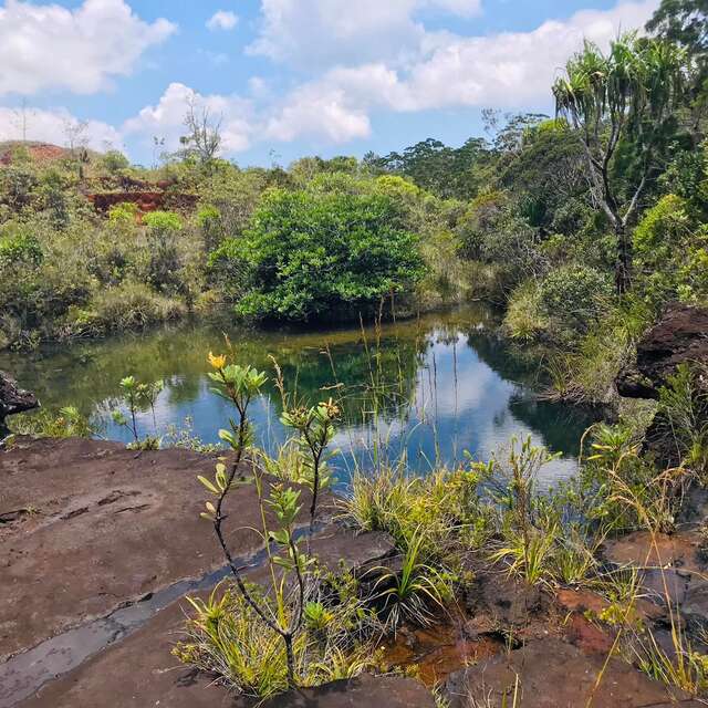 Lovers' Waterhole