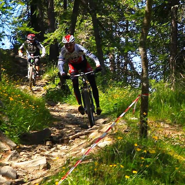 VTT enduro et descente