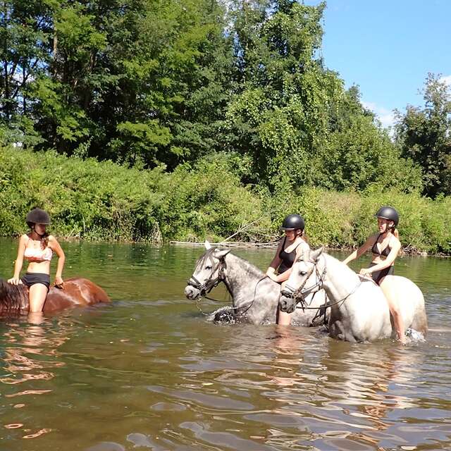 Les Chevaux du Cantaure