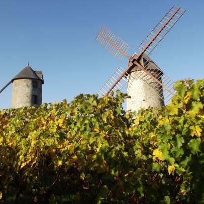 Los molinos de Ardenay