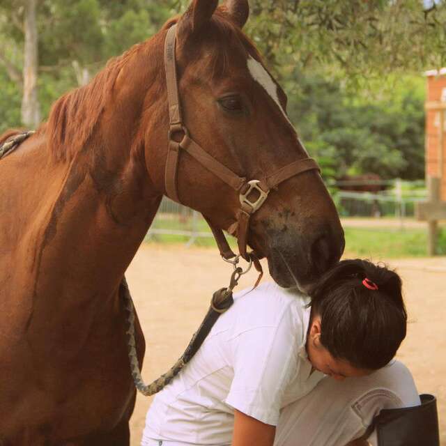 Haras de Tontouta