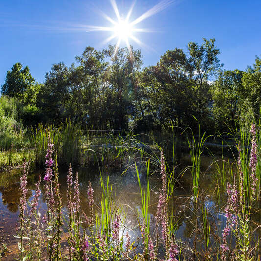 Espace naturel sensible La Rolande