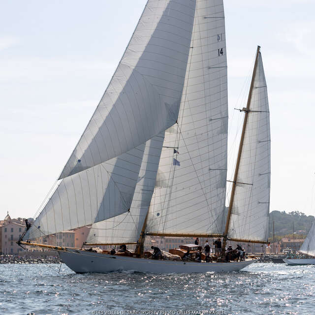 Les Voiles de Saint-Tropez
