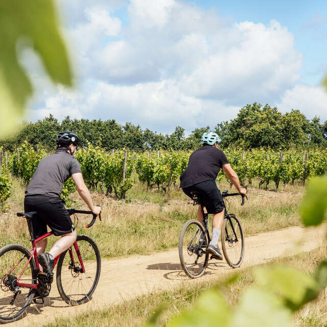 Circuit Gravel - Angers, between the Loire and the Savennières hillsides