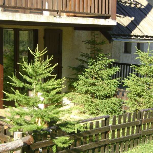 Appartement 3 personnes- le Chalet du Guil n°9