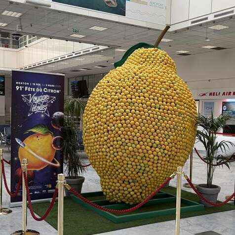 Vacances d’hiver, Carnaval et Fête du Citron à l’Aéroport Nice Côte d’Azur