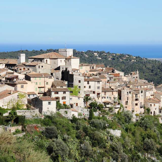Confectionner son bouquet de violettes