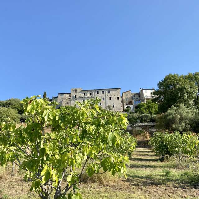 JEP 2025 :  La Maison de la Figue