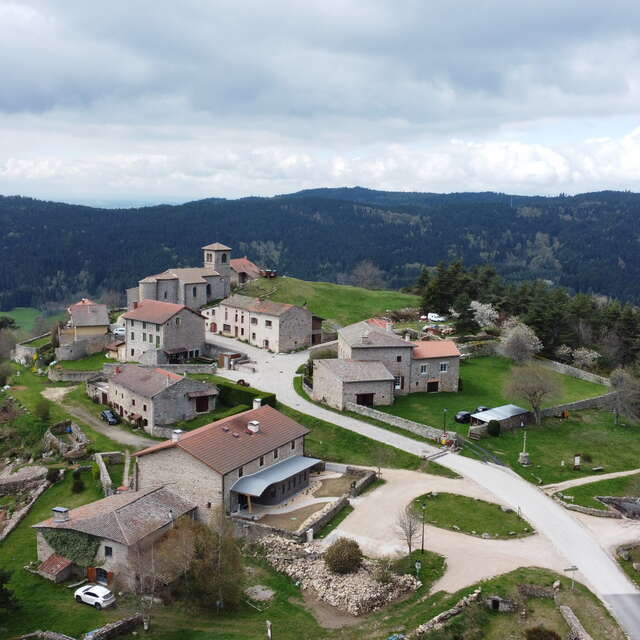Trail du Haut-Forez