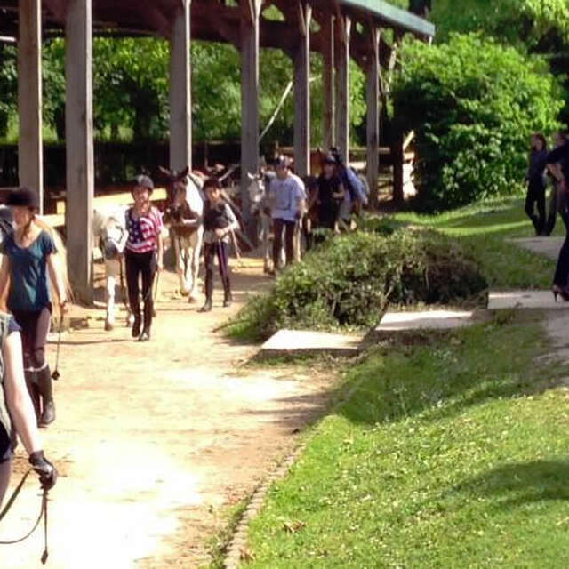 Poney-Club de l'Île