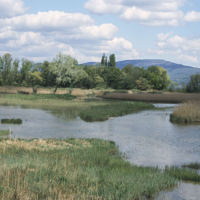 Lac du Bourget Observatory