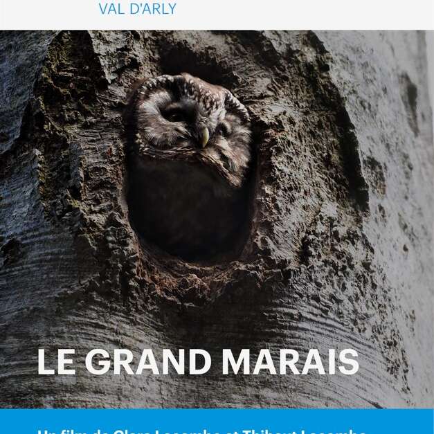 Projection du film "Le Grand Marais"