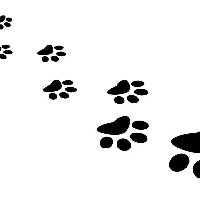 Goûter gourmand sur les traces des animaux