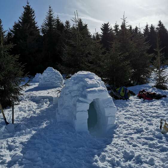 Construction d'Igloos