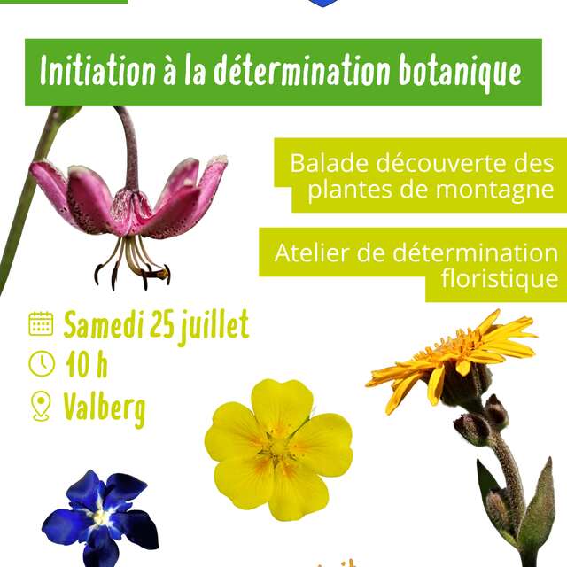 Initiation à la détermination botanique