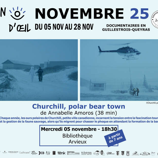 Clin d'œil  - Churchill Polar Bear Town