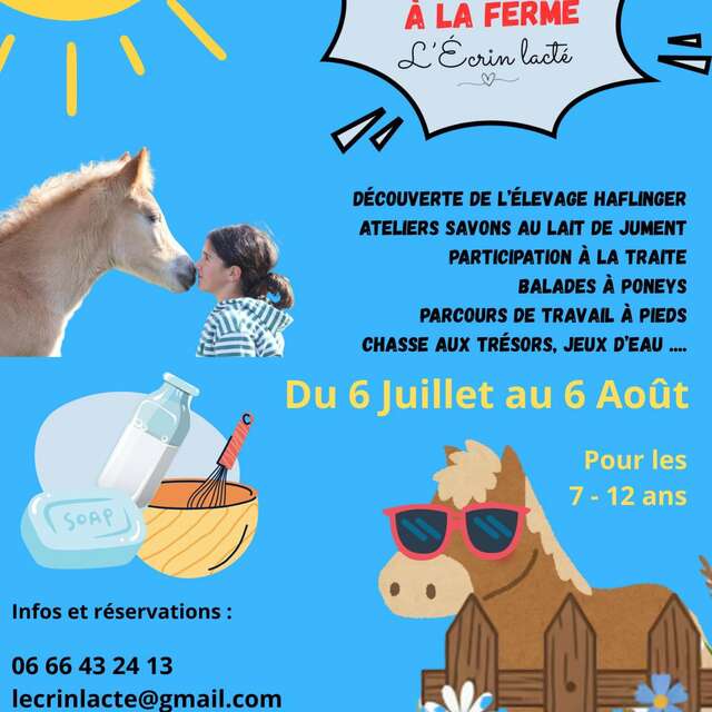 Vacances à la Ferme "L'Ecrin lacté" pour les enfants