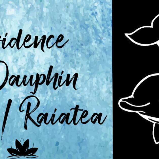 Residence Le Dauphin