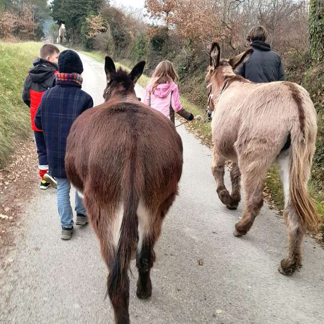 Balance and tipping workshop with donkeys - Domaine des Adrès