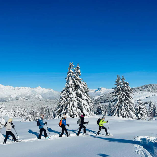 Circuit la petite Laponie